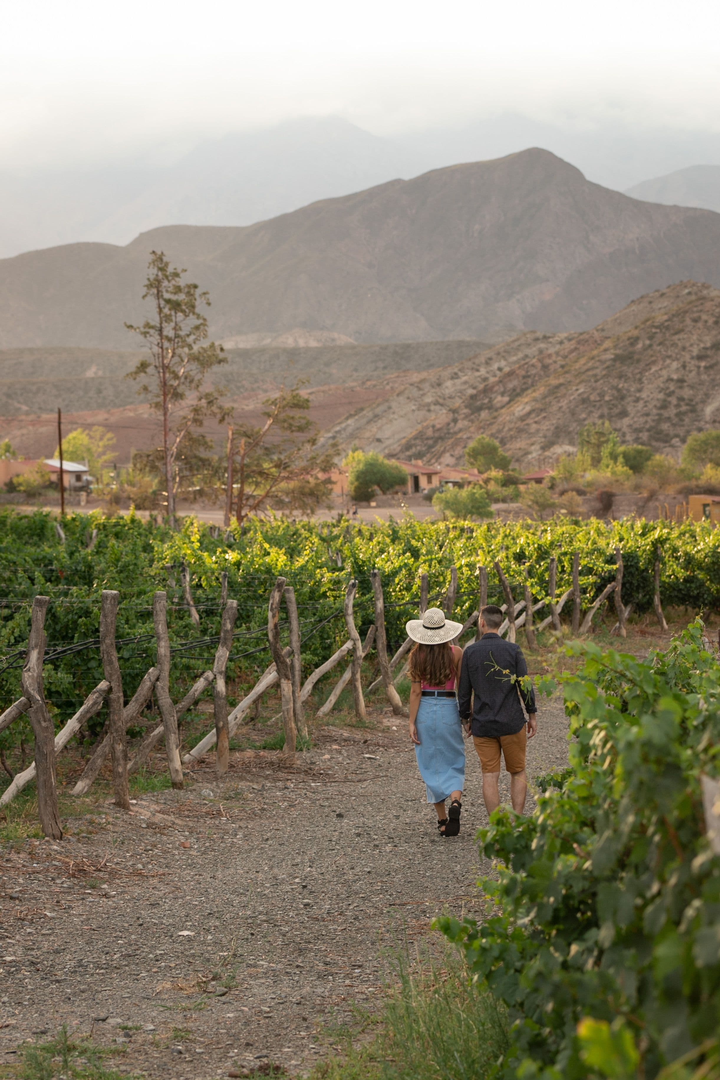 Mendoza — paquete de viaje con 787 Rumbos